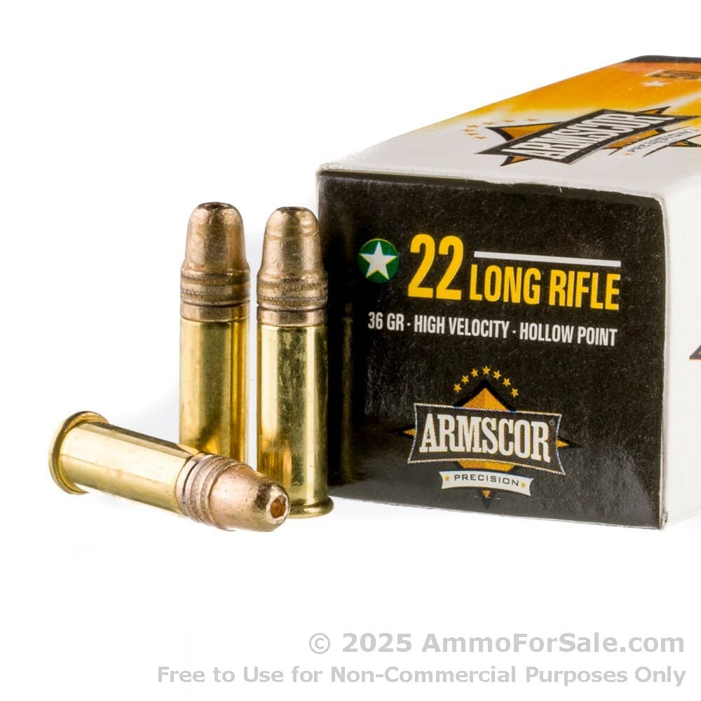 Armscor 36gr .22 LR Review: Accuracy and Small Game Performance